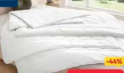 Segmüller Billerbeck Sommerbett Sari Angebot