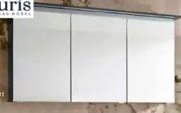 Segmüller Puris Spiegelschrank Angebot