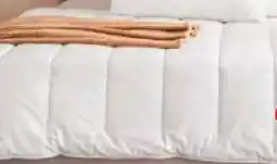 Segmüller Centa-Star Ganzjahresbett Angebot