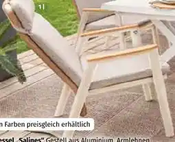 Segmüller Dining Sessel Salines Angebot