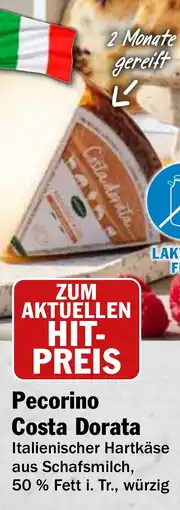HIT Ullrich Pecorino Costa Dorata Angebot