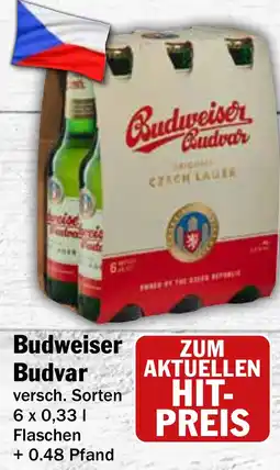 HIT Ullrich Budweiser Budvar Angebot