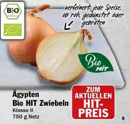 HIT Ullrich Ägypten Bio HIT Zwiebeln Angebot