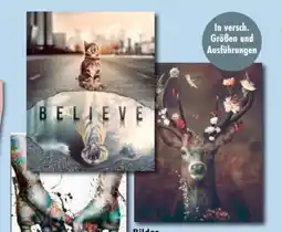 Trends Möbel Bilder Angebot