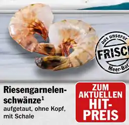 HIT Ullrich Riesengarnelen schwänze Angebot