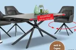 Trends Möbel Esstisch TARBEK Angebot