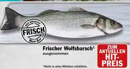 HIT Ullrich Frischer Wolfsbarsch Angebot
