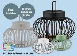 Trends Möbel LED-Pendelleuchte Akuba Angebot