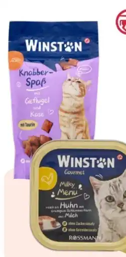Rossmann Winston Knabber-Spaß Angebot