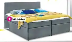 Möbel Boss Boxspringbett Orlando Angebot