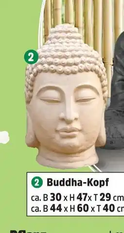 Thomas Philipps Buddha-kopf ca. b 30 x h 47 x t 29 cm Angebot