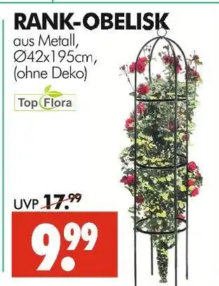 Wreesmann Top flora rank-obelisk Angebot