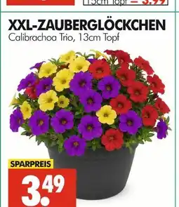 Wreesmann Xxl-zauberglöckchen Angebot