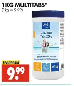 Wreesmann Well san multitabs Angebot