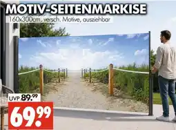 Wreesmann Motiv-seitenmarkise Angebot