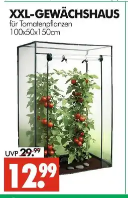 Wreesmann Xxl-gewächshaus Angebot