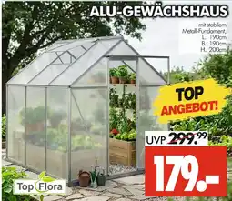 Wreesmann Top flora alu-gewächshaus Angebot
