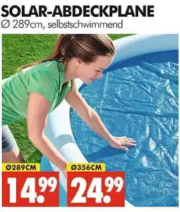 Wreesmann Solar-abdeckplane ø 289cm Angebot