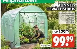 Wreesmann Top flora tunnel-gewächshaus Angebot