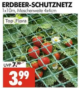 Wreesmann Top flora erdbeer-schutznetz Angebot