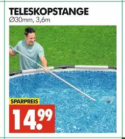 Wreesmann Teleskopstange Angebot