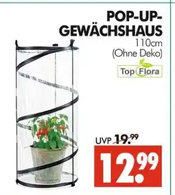 Wreesmann Top flora pop-up-gewächshaus Angebot