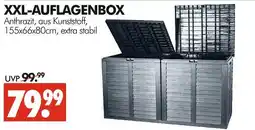Wreesmann Xxl-auflagenbox Angebot