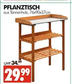 Wreesmann Pflanztisch Angebot