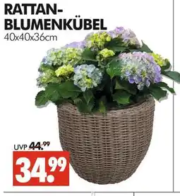 Wreesmann Rattan-blumenkübel Angebot