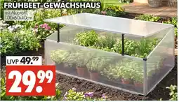 Wreesmann Frühbeet-gewächshaus Angebot