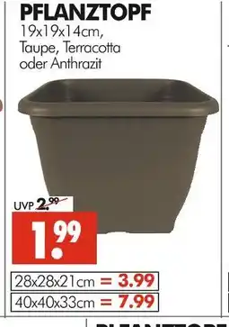 Wreesmann Pflanztopf 19x19x14 cm Angebot