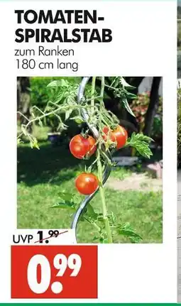 Wreesmann Tomaten-spiralstab Angebot