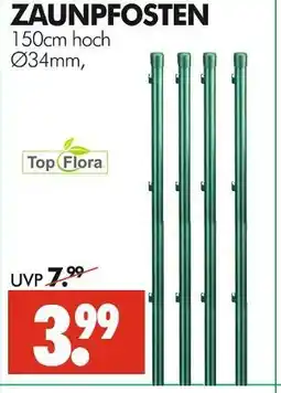 Wreesmann Top flora zaunpfosten Angebot