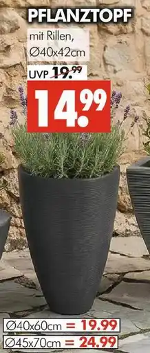 Wreesmann Pflanztopf ø40x42cm Angebot