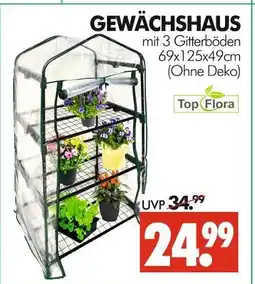 Wreesmann Top flora gewächshaus Angebot