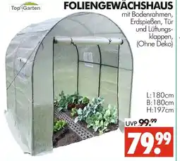 Wreesmann Top garten foliengewächshaus Angebot
