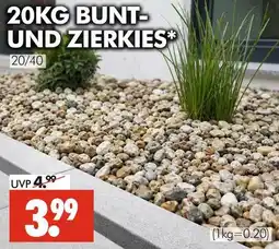 Wreesmann Bunt- und zierkies Angebot