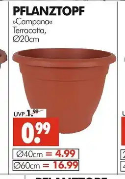 Wreesmann Pflanztopf campana Angebot