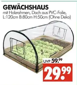 Wreesmann Gewächshaus Angebot