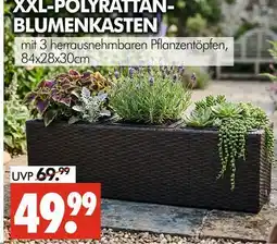 Wreesmann Xxl-polyrattan-blumenkasten Angebot