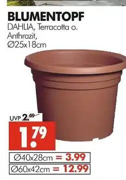 Wreesmann Blumentopf dahlia 25x18cm Angebot