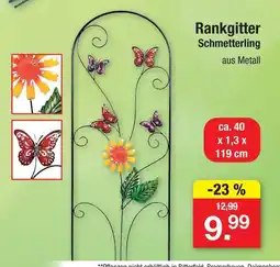 Zimmermann Rankgitter schmetterling Angebot