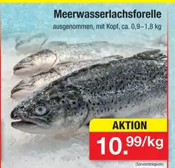 Zimmermann Meerwasserlachsforelle Angebot