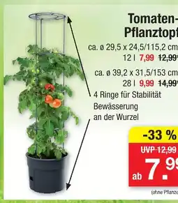 Zimmermann Tomaten-pflanztopf Angebot