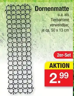 Zimmermann Dornenmatte Angebot