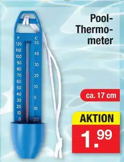Zimmermann Pool-thermometer Angebot