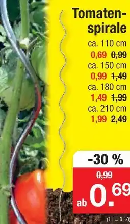 Zimmermann Tomatenspirale Angebot