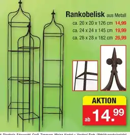 Zimmermann Rankobelisk Angebot
