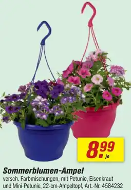 toom Baumarkt Sommerblumen-ampel Angebot