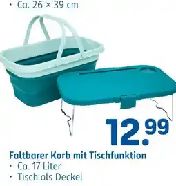 Rossmann Faltbarer korb mit tischfunktion Angebot